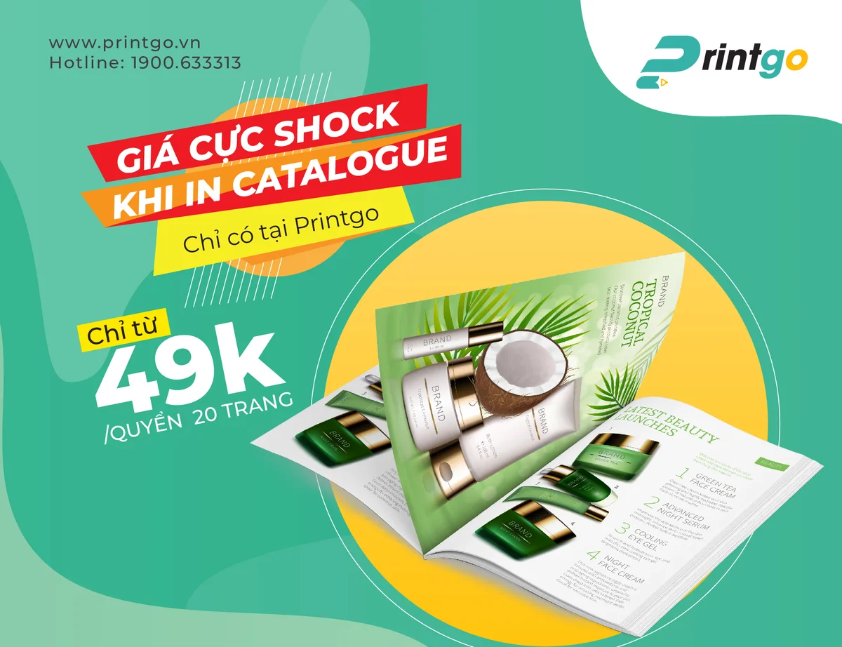 In catalogue với giá cực "shock"