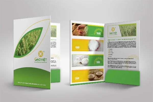 3 loại giấy in Catalogue phổ biến nhất hiện nay