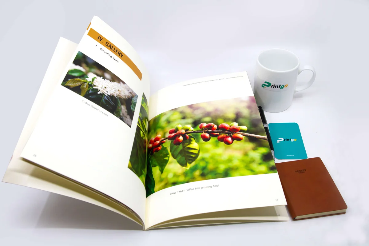 Một số mẫu sản phẩm Catalogue của Printgo