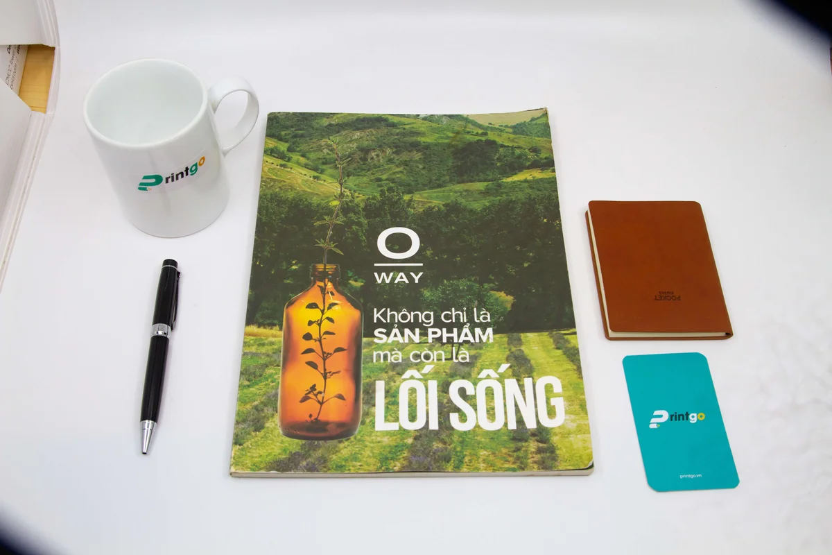 Một số mẫu sản phẩm Catalogue của Printgo