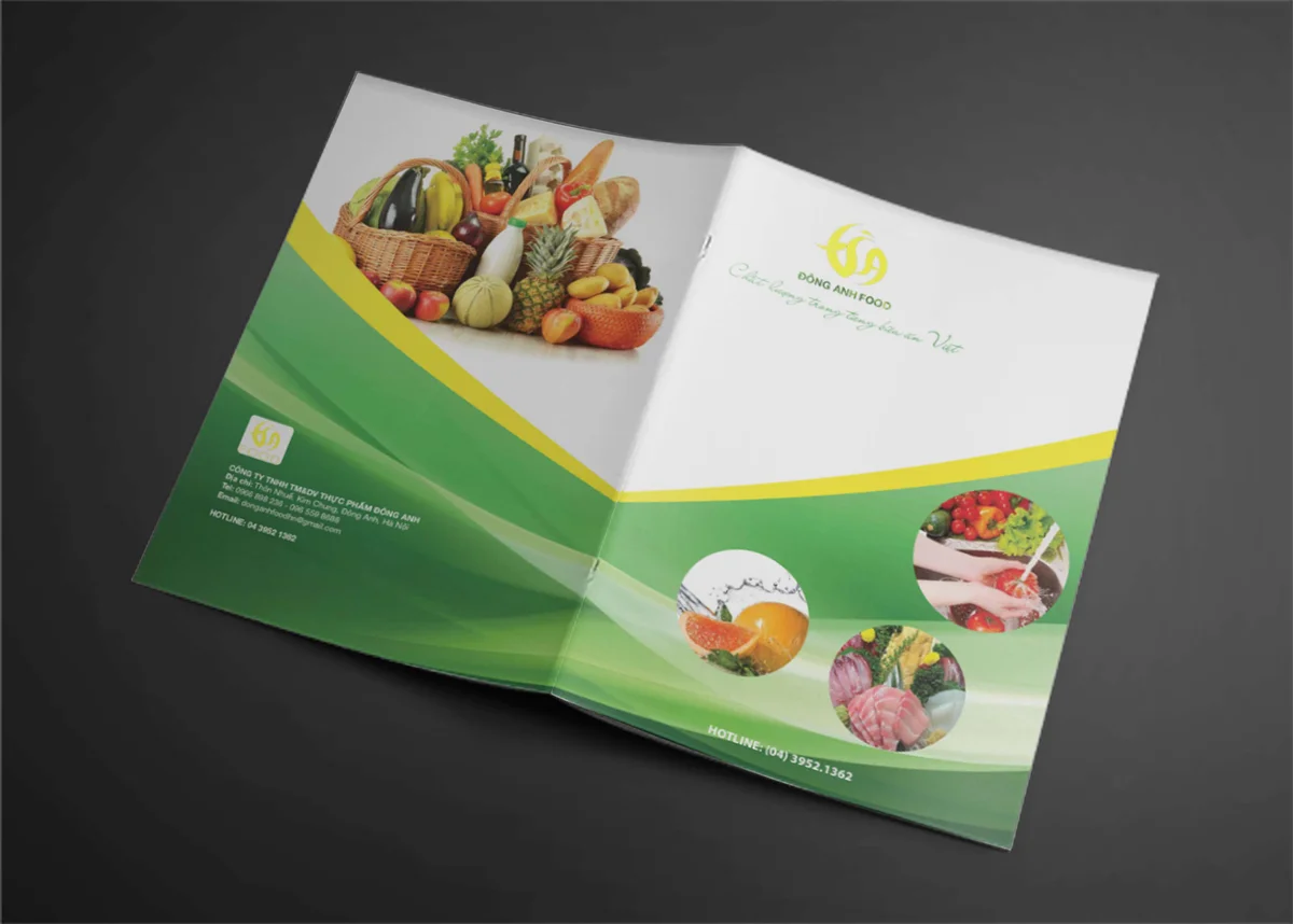 20+ Mẫu Catalogue đa ngành nghề HOT siêu sáng tạo, độc đáo