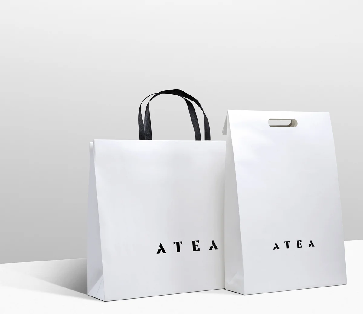 35+ mẫu thiết kế in túi giấy cho shop thời trang đẹp