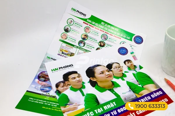 20+ mẫu tờ rơi ấn tượng độc đáo