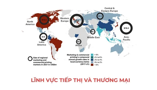 Printgo tham gia Shark Tank Việt Nam
