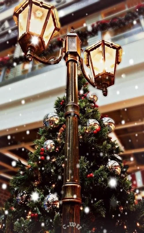 Chúc noel tiếng anh