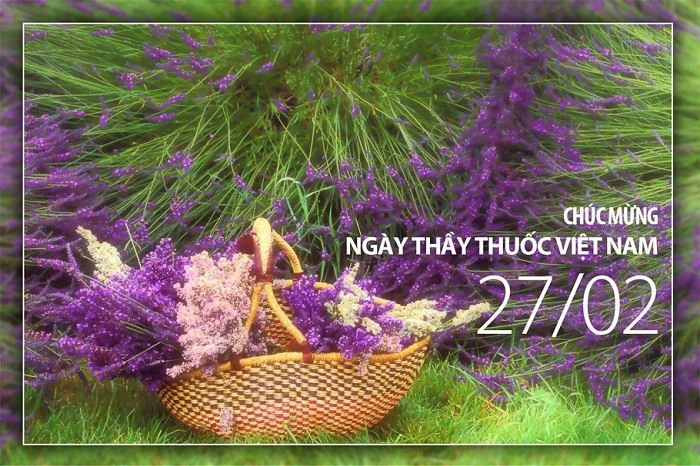 Gợi ý một số mẫu thiệp chúc mừng ngày thầy thuốc Việt Nam 27/2
