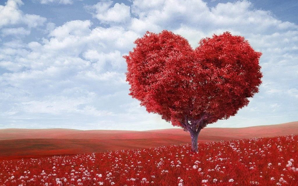 Những lời chúc Valentine ý nghĩa dành cho người tình cũ