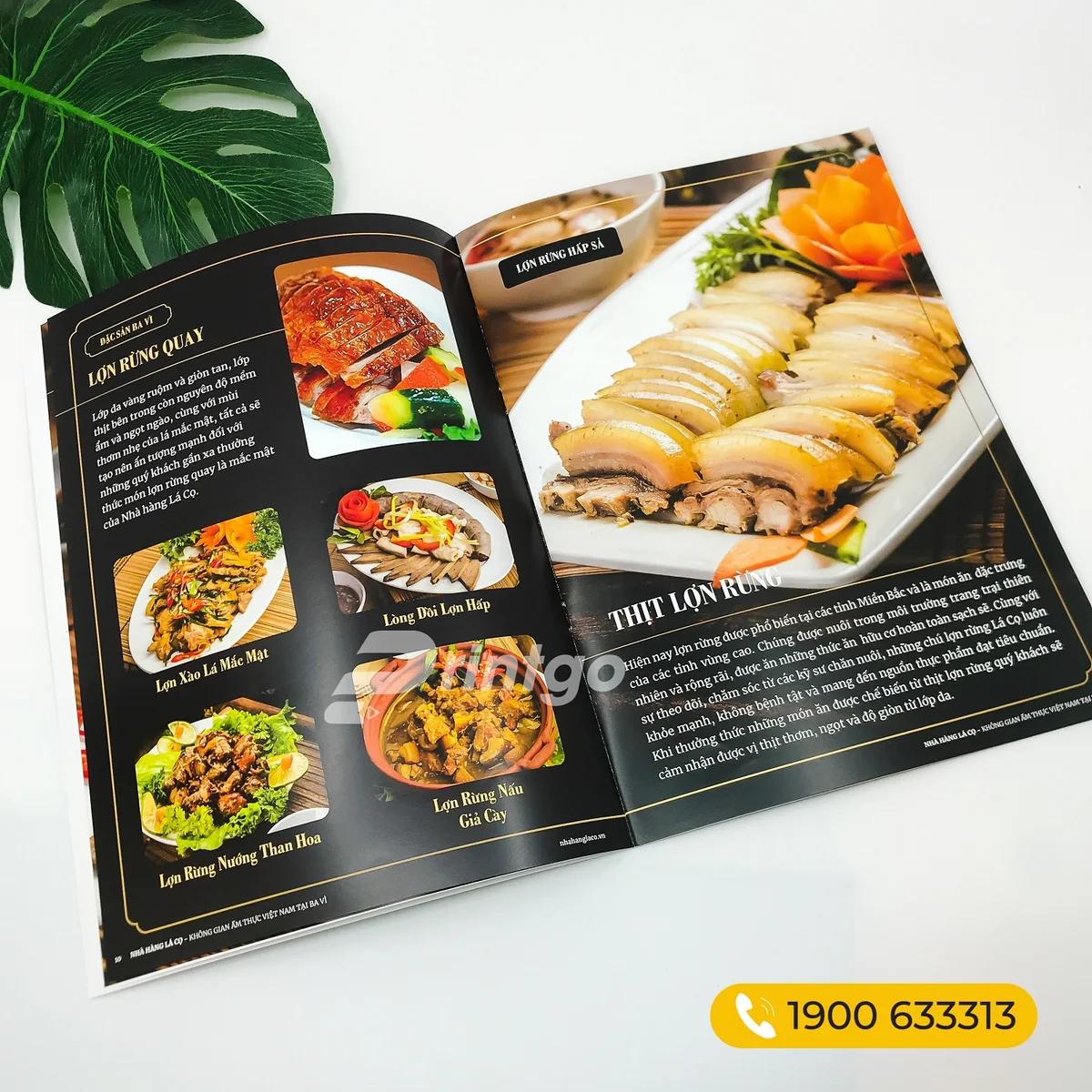 Mẫu catalogue ngành thực phẩm đẹp