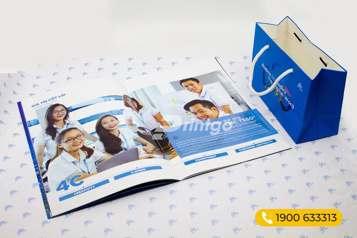 Mẫu Catalogue giới thiệu công ty