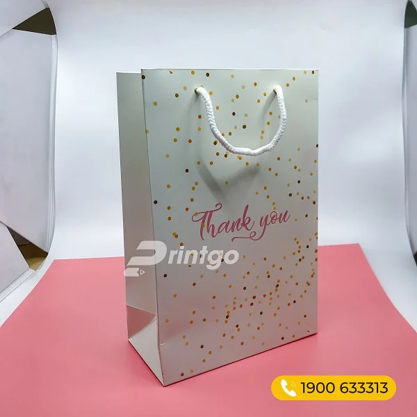 10+ mẫu túi giấy đựng quà tặng được ưa chuộng nhất