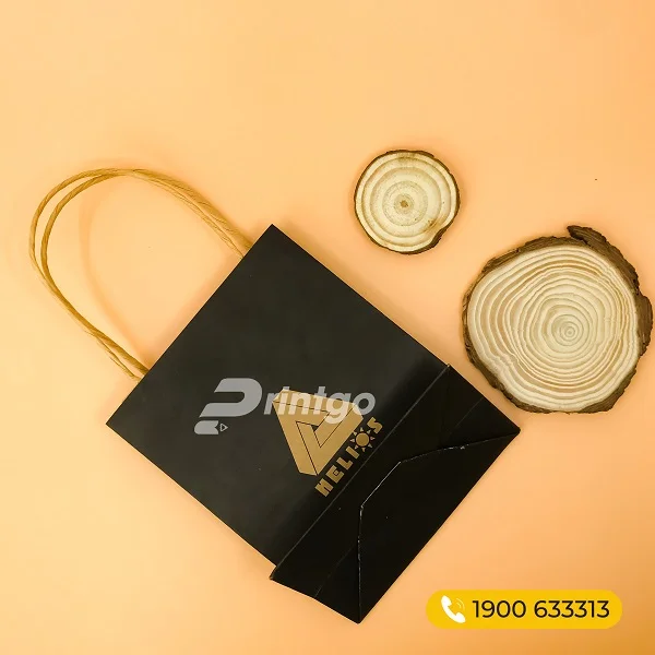 10+ mẫu túi giấy đựng quà tặng được ưa chuộng nhất