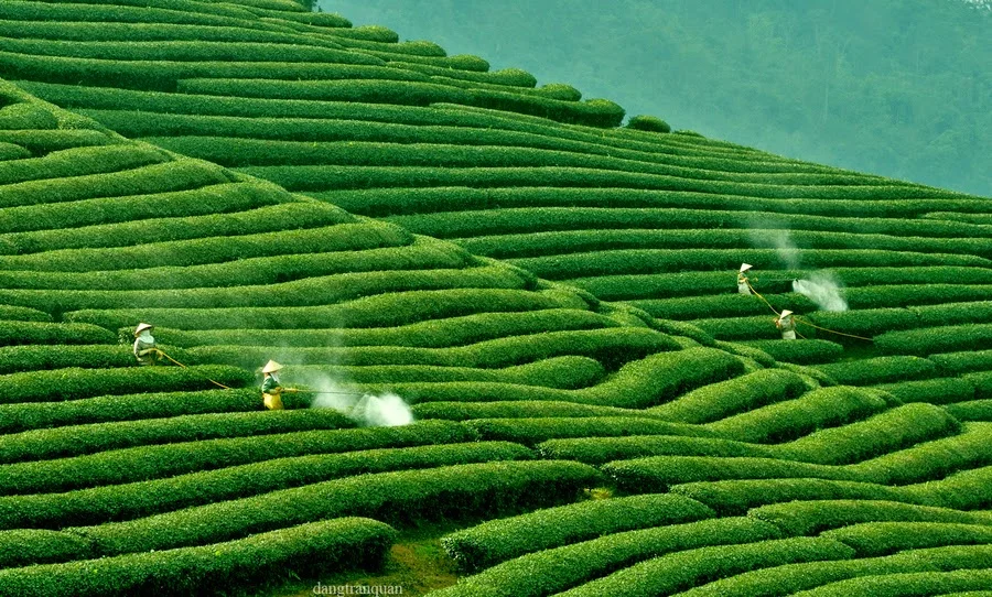 30/4 nên đi đâu chơi ở miền Bắc? Gợi ý 8 địa điểm du lịch hấp dẫn dịp lễ 30/4 - 1/5