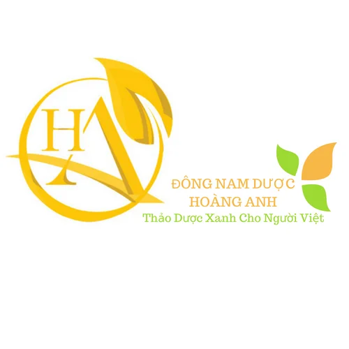 Logo thiết kế ngành y dược đẹp, chuyên nghiệp số 1 Việt Nam
