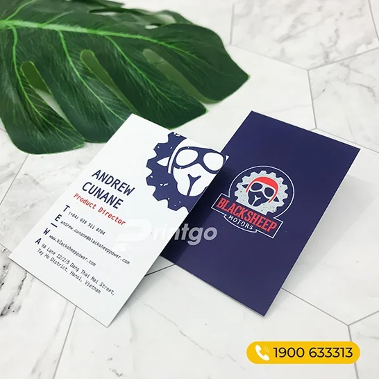 Đi tìm dịch vụ in card visit tại nam định siêu rẻ mà cực chất lượng