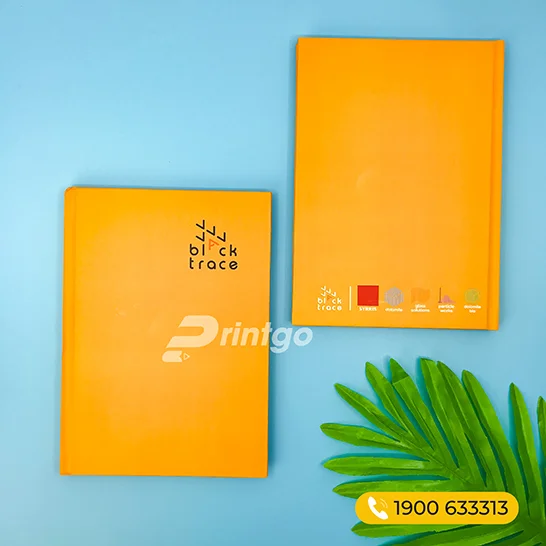 Thiết kế bộ nhận diện thương hiệu dành riêng cho các công ty vận tải Việt Nam 
