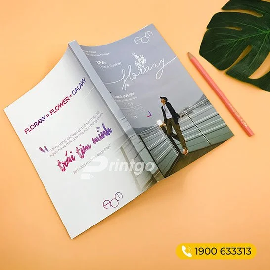 Đâu là địa chỉ in catalogue chuyên nghiệp, uy tín tại Hà Nội ?