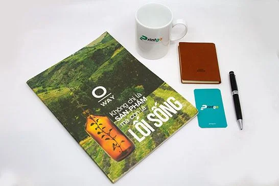 Nhận in catalogue giá rẻ, uy tín tại TP. Hồ Chí Minh