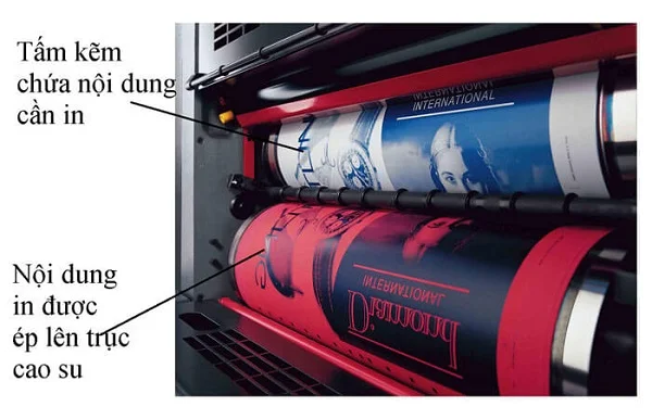 In Flexo là gì? Những điều cần biết về in flexo
