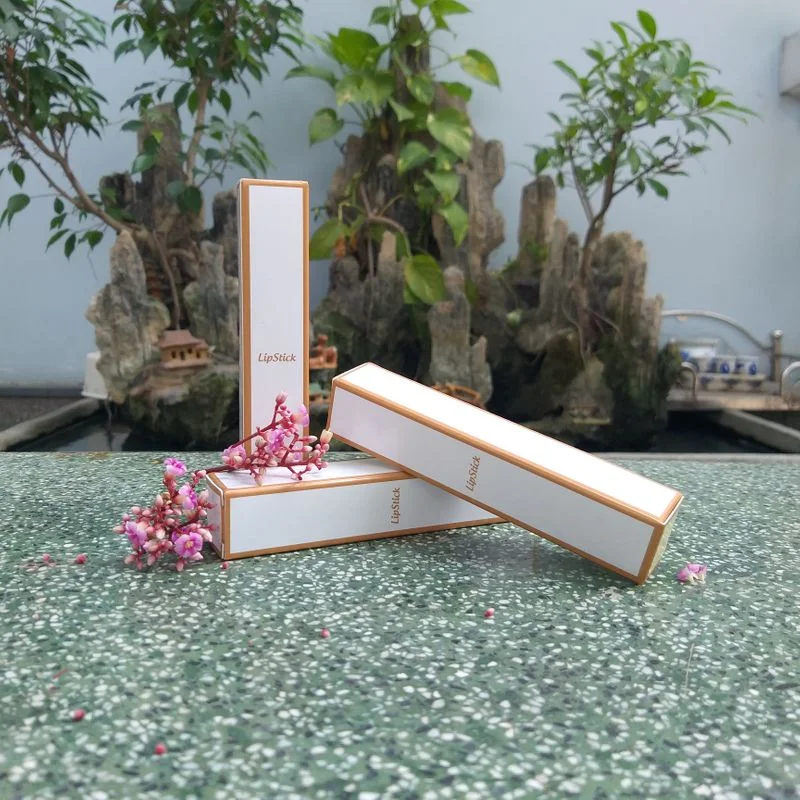 Tổng hợp những mẫu in hộp giấy đựng son độc đáo, ấn tượng