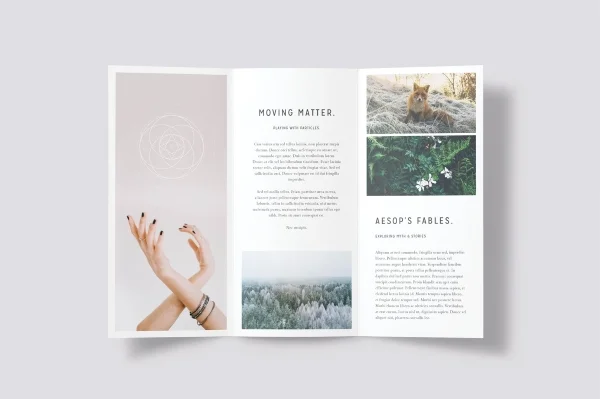 brochure design 3 1594971276