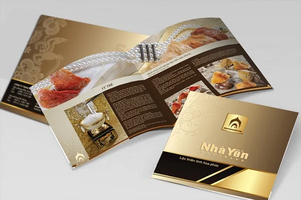 Tổng hợp hơn 50+ mẫu catalogue spa đẹp, đa dạng kiểu dáng