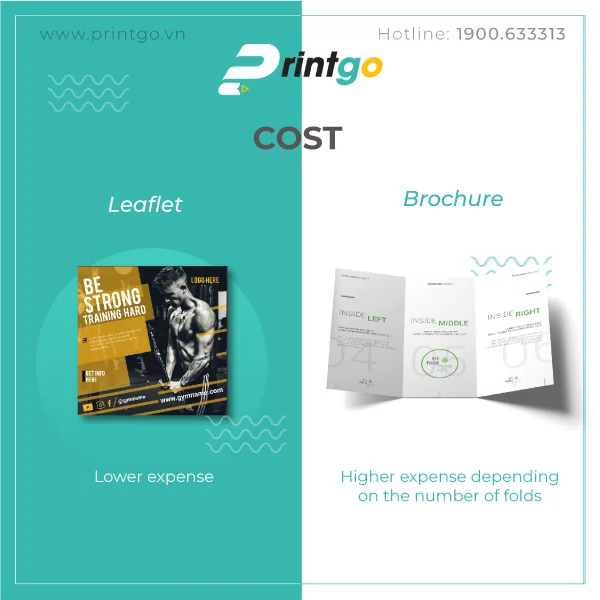 distinguish leaflets brochures 4 1595313504