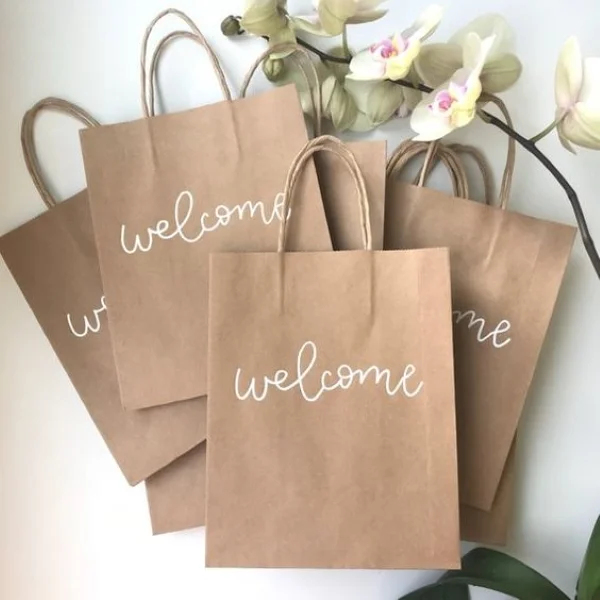 kraft paper bag printing and designing 6 1595326756