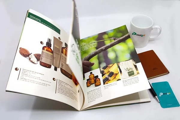 Những mẫu catalogue giới thiệu sản phẩm đẹp tạo dấu ấn với khách hàng 