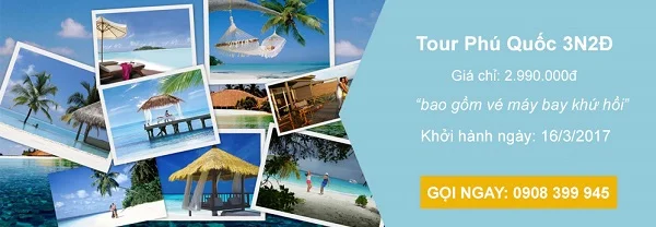 Tổng hợp 10+ mẫu tờ rơi du lịch bắt mắt và thu hút nhất hiện nay