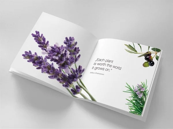 Tổng hợp các mẫu catalogue đẹp, ấn tượng và chuyên nghiệp