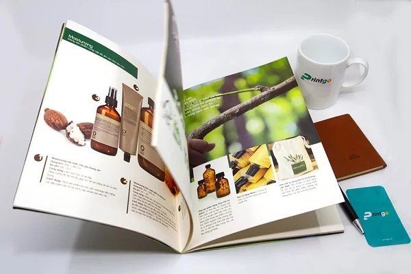 Tổng hợp các mẫu catalogue đẹp, ấn tượng và chuyên nghiệp