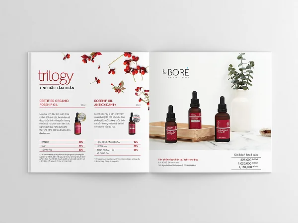 Tổng hợp các mẫu catalogue đẹp, ấn tượng và chuyên nghiệp