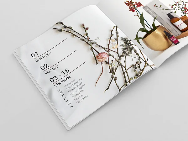 Tổng hợp các mẫu catalogue đẹp, ấn tượng và chuyên nghiệp