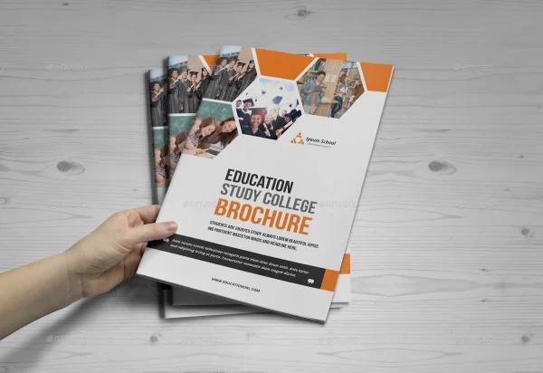 Design And Printing Brand Publications For Education Sector