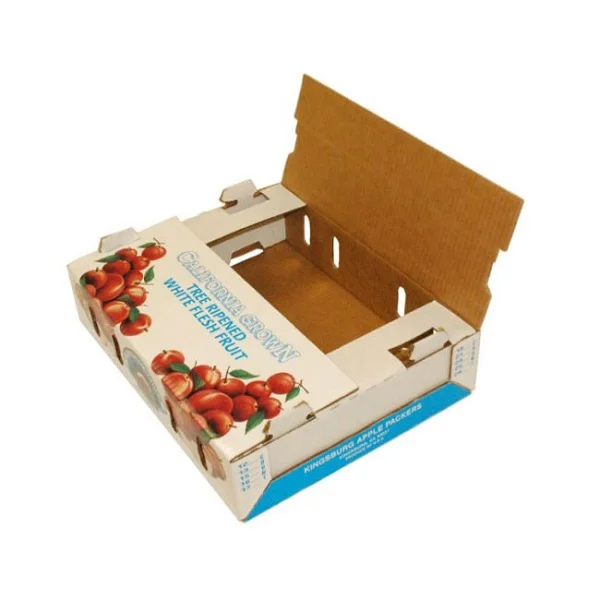 Công ty in thùng carton giá rẻ, chất lượng tại Hà Nội