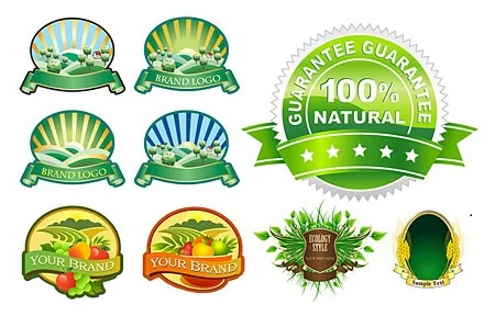 Những lưu ý khi thiết kế decal chuyên nghiệp