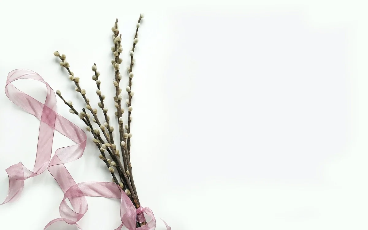 Top 10+ các mẫu background 20/10 đẹp và ấn tượng nhất