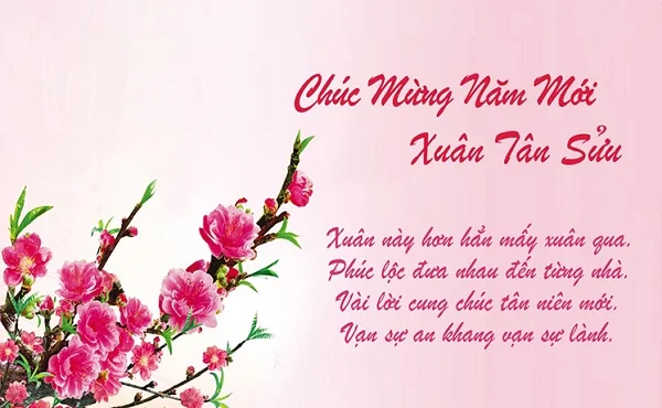 Top 10+ mẫu thiệp chúc mừng năm mới đẹp, chuyên nghiệp mà bạn không thể bỏ qua