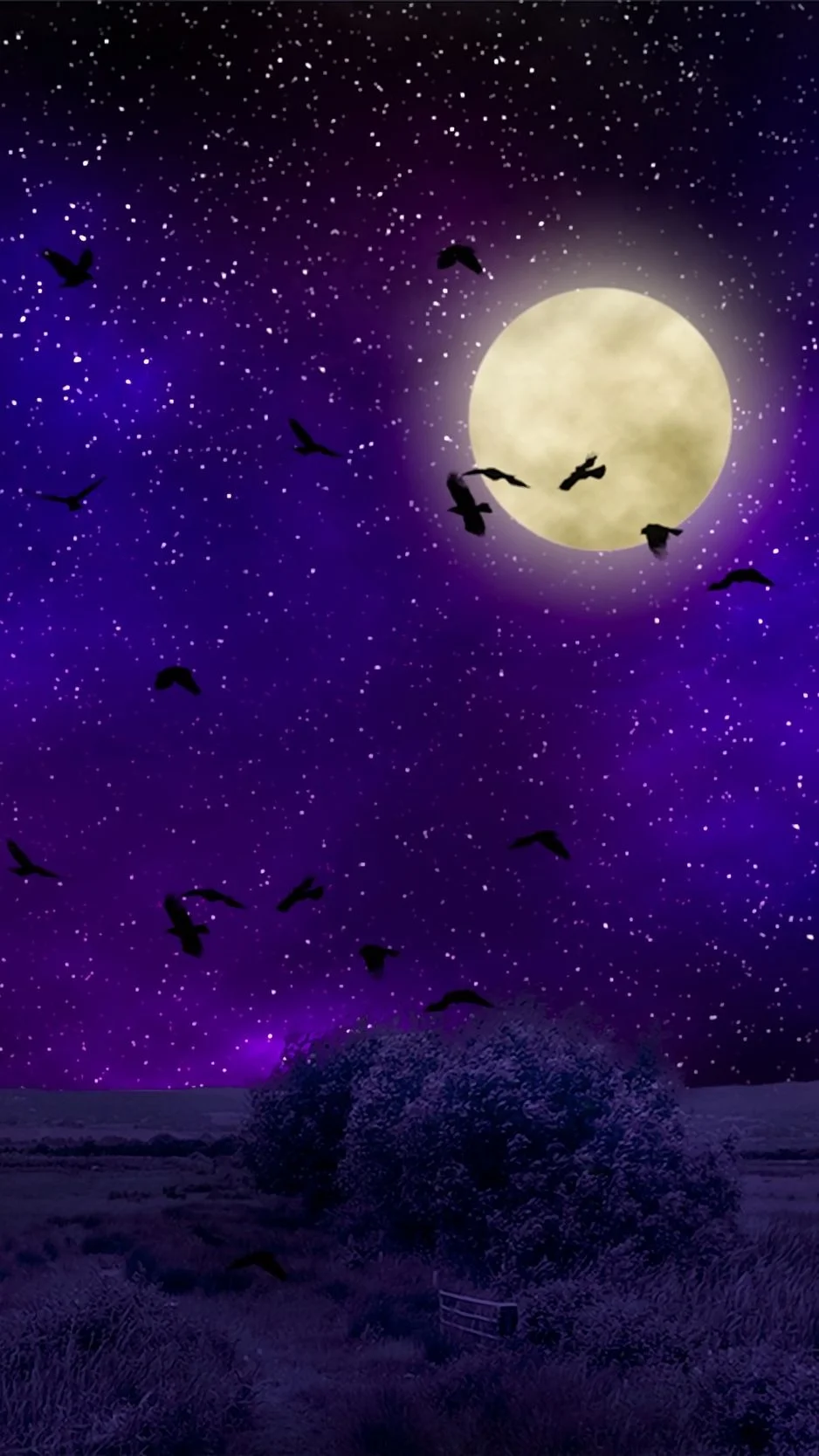 Tải ngay kho hình nền halloween độc đáo ấn tượng cho điện thoại và máy tính
