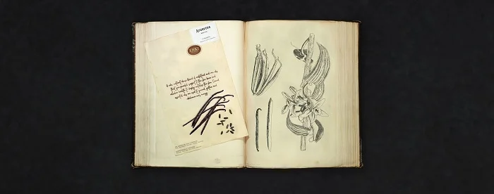 Đơn giản, và tinh tế trong từng mẫu thiết kế bao bì mỹ phẩm Enki