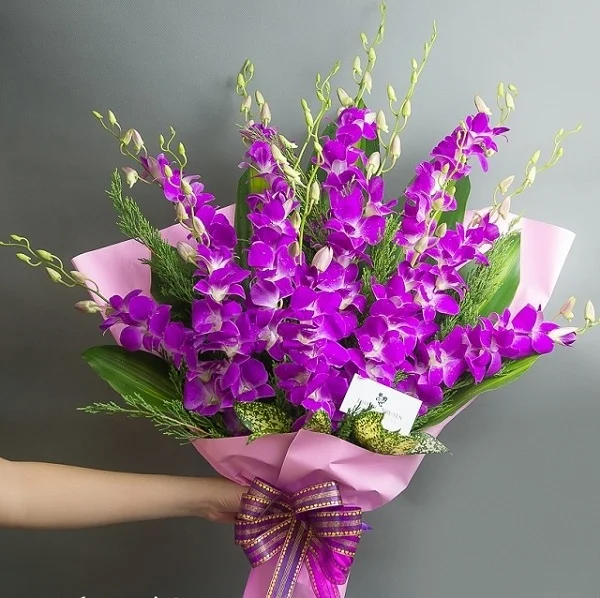 Hoa lan - loài hoa của sự cao quý, sang trọng phù hợp là quà tặng thầy cô ngày 20/11