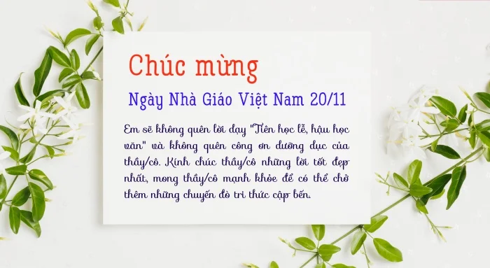 Lời chúc mừng 20/11 ngắn gọn