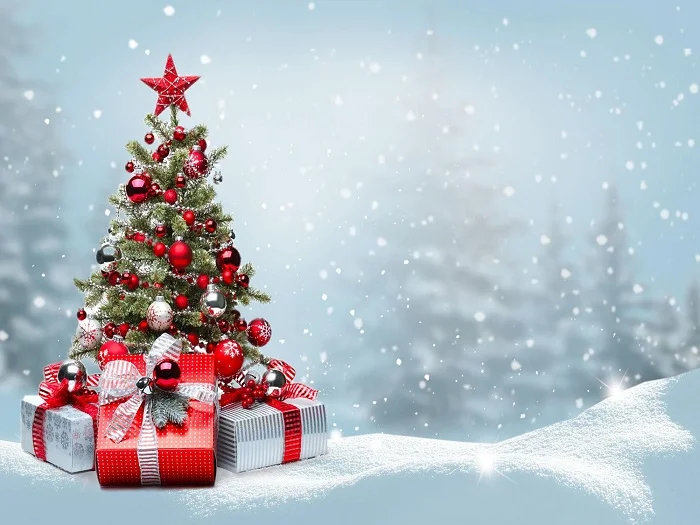 Tổng hợp các mẫu hình ảnh backdrop Noel được yêu thích nhất