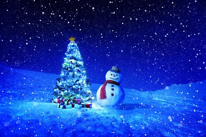 Tổng hợp các mẫu hình ảnh backdrop Noel được yêu thích nhất