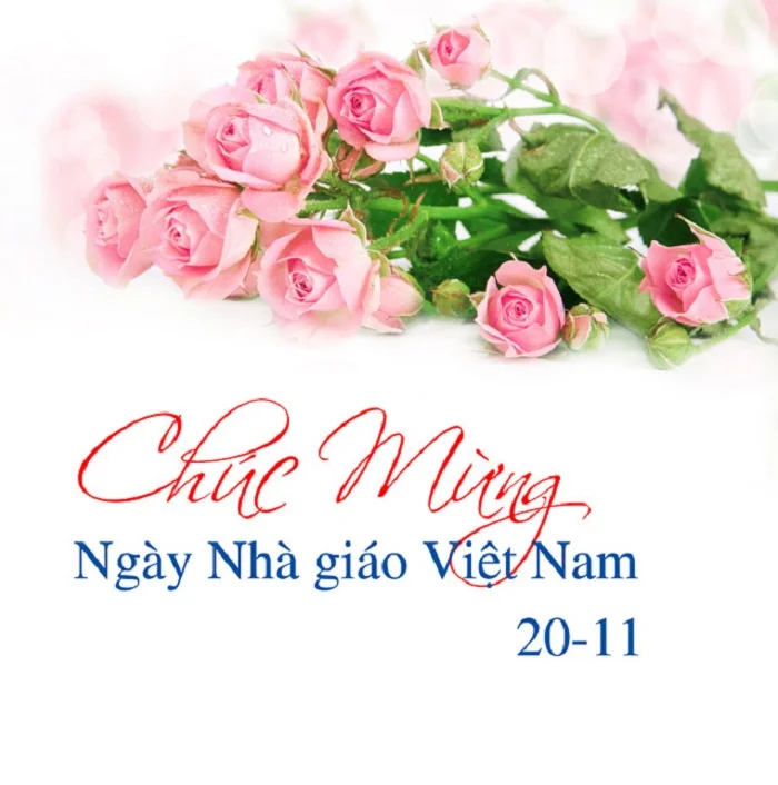 Những hình ảnh hoa hồng đơn giản, gần gũi tượng trưng cho ngày 20/11