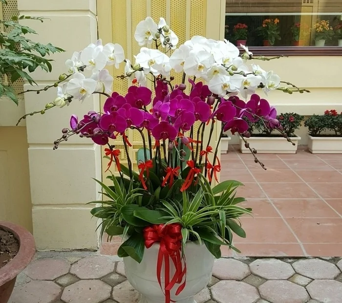 Gợi ý lựa chọn quà tết dành tặng đối tác được nhiều doanh nghiệp sử dụng nhất