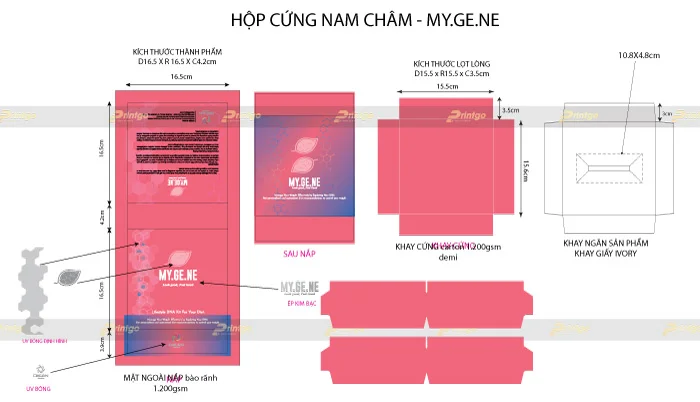 hop am duong my gene 06 1605323194