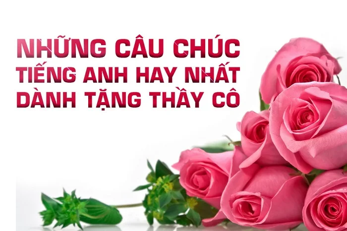 Tổng hợp những lời ý nghĩa nhân Ngày Nhà Giáo Việt Nam 20/11 bằng tiếng anh