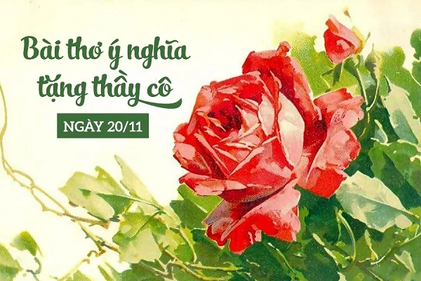 Tổng hợp những lời chúc 20/11 hay nhất dành cho đồng nghiệp