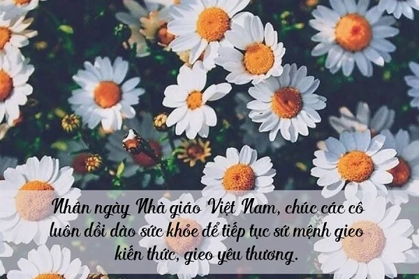 Ngày 20/11 hàng năm là dịp tri ân đặc biệt dành cho ngành Giáo dục
